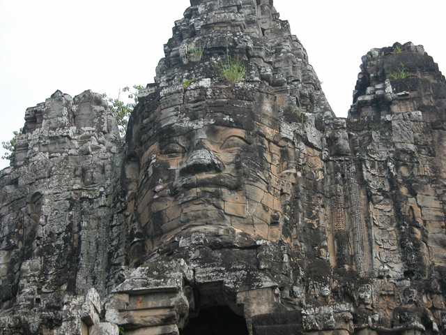 DSCN0493