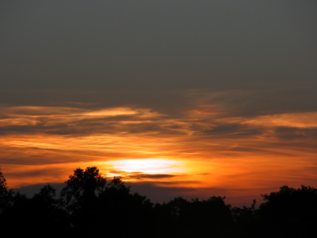 DSCN0650